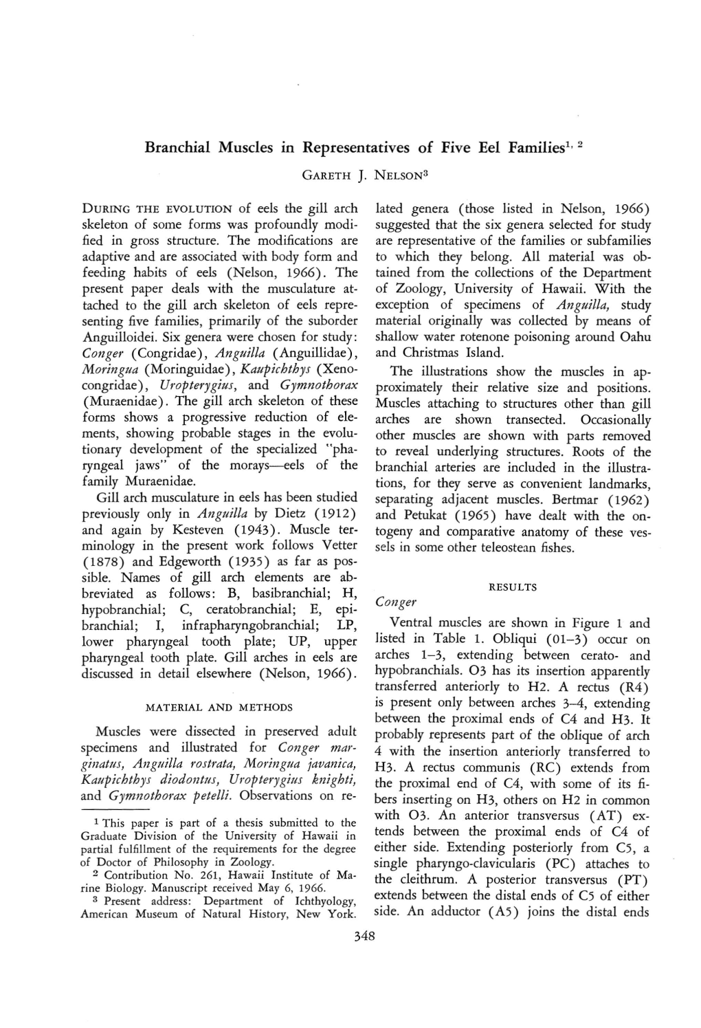 Branchial Muscles 10 Representatives of Five Eel Families!' 2 GARETH J