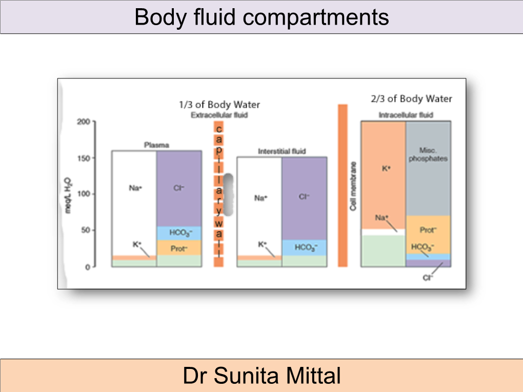 Body Fluid Compartments Dr Sunita Mittal