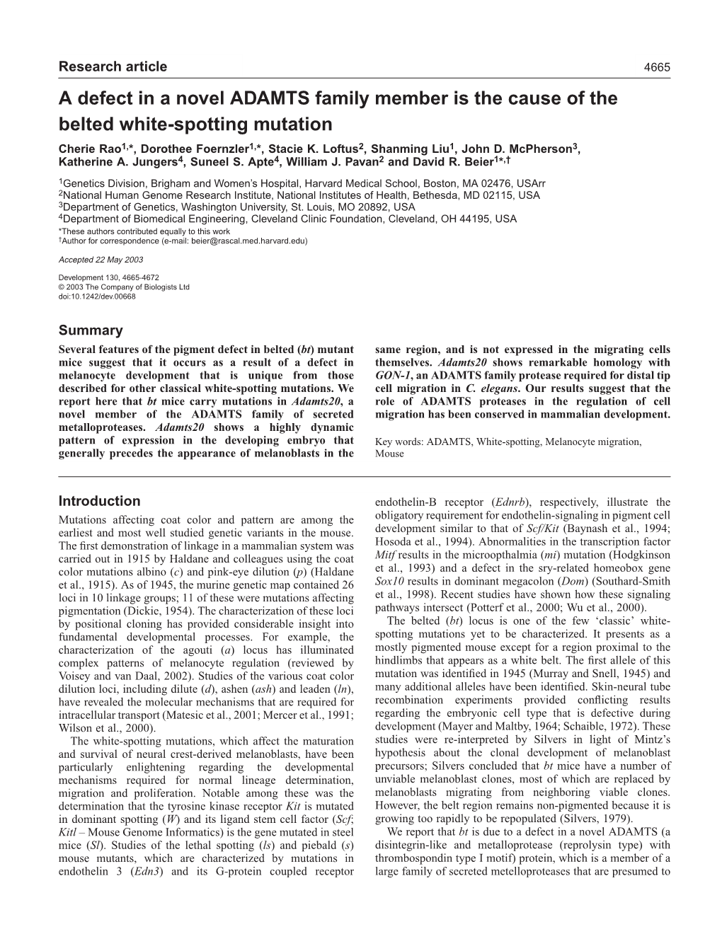 A Defect in a Novel ADAMTS Family Member Is the Cause of the Belted White-Spotting Mutation Cherie Rao1,*, Dorothee Foernzler1,*, Stacie K