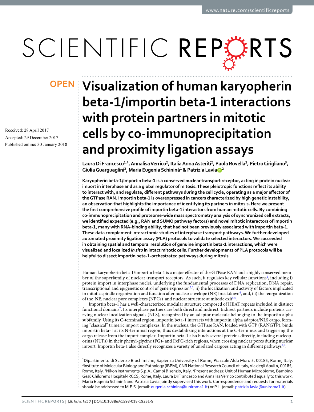 Visualization of Human Karyopherin Beta-1/Importin Beta-1 Interactions
