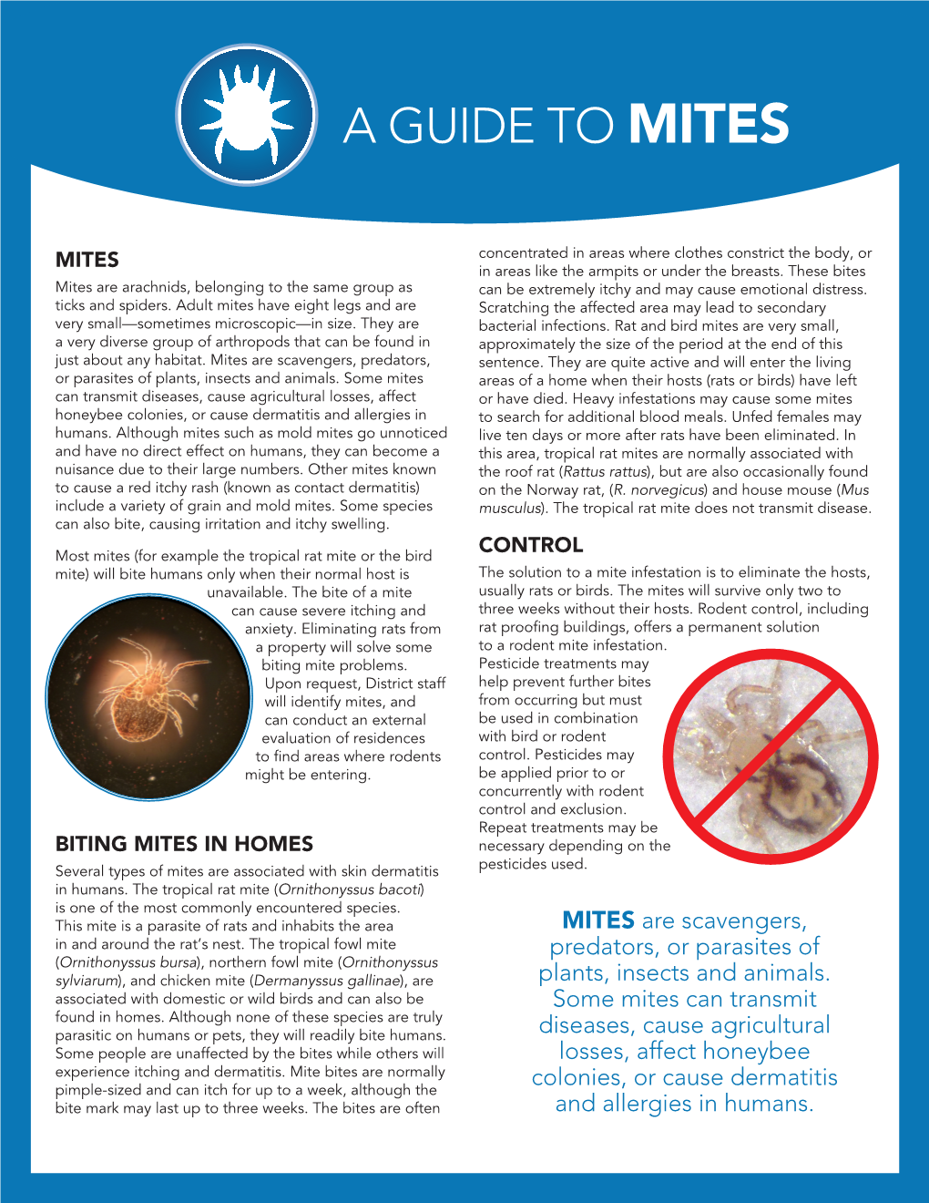 A Guide to Mites