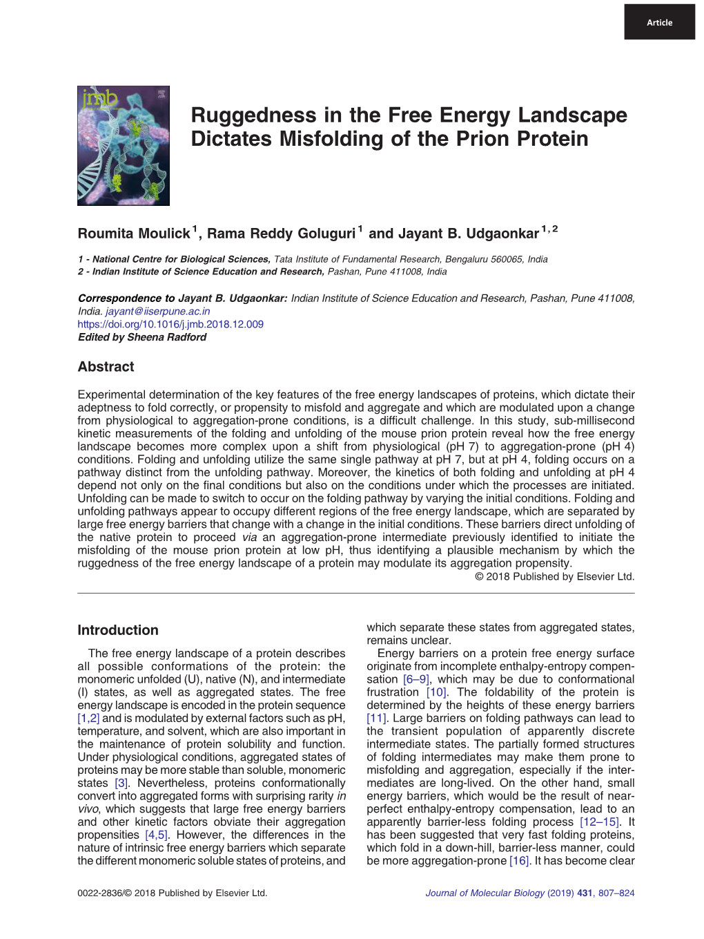 Ruggedness in the Free Energy Landscape Dictates Misfolding of the Prion Protein