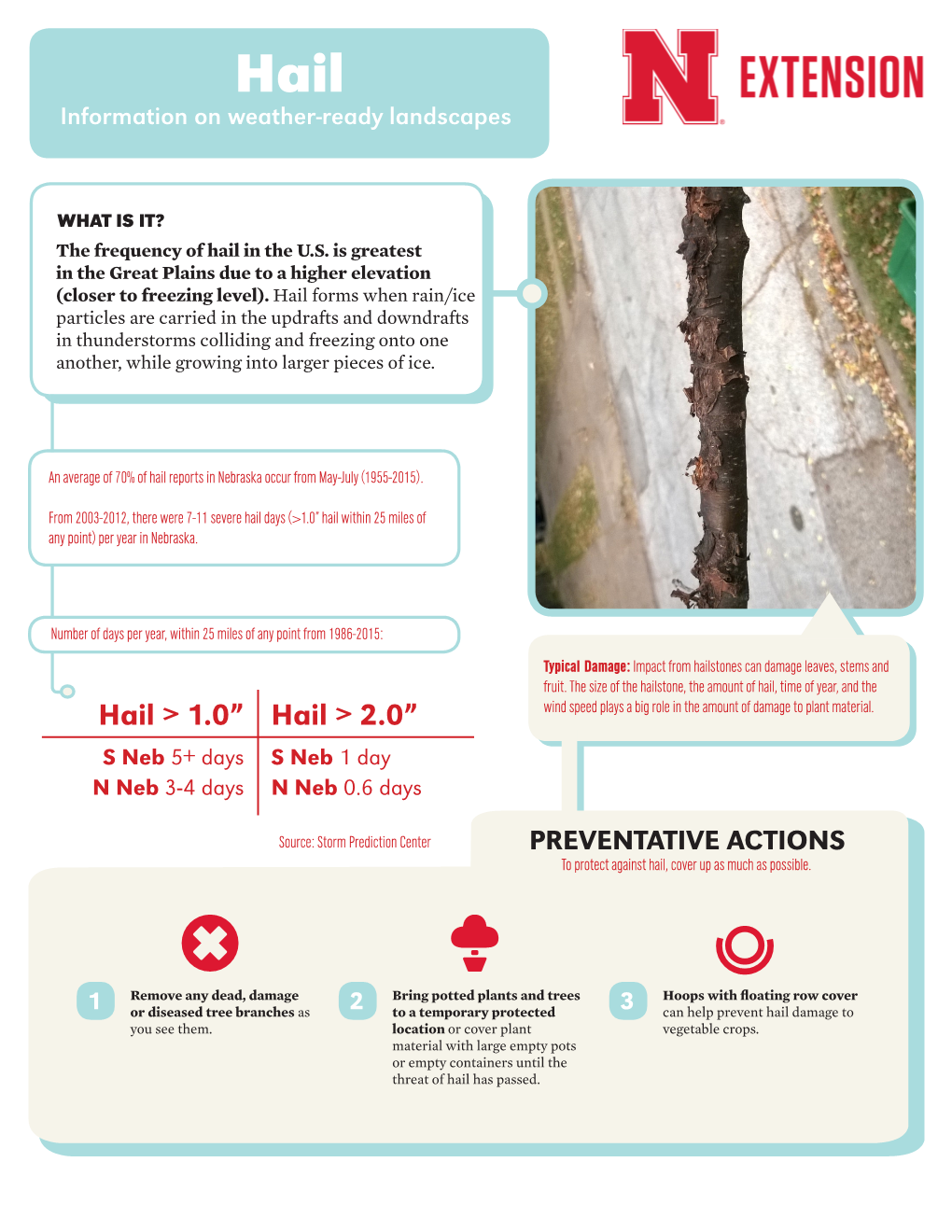 Hail TYPICAL DAMAGE Information on Weather-Readyhail Landscapes Information on Weather-Ready Landscapes