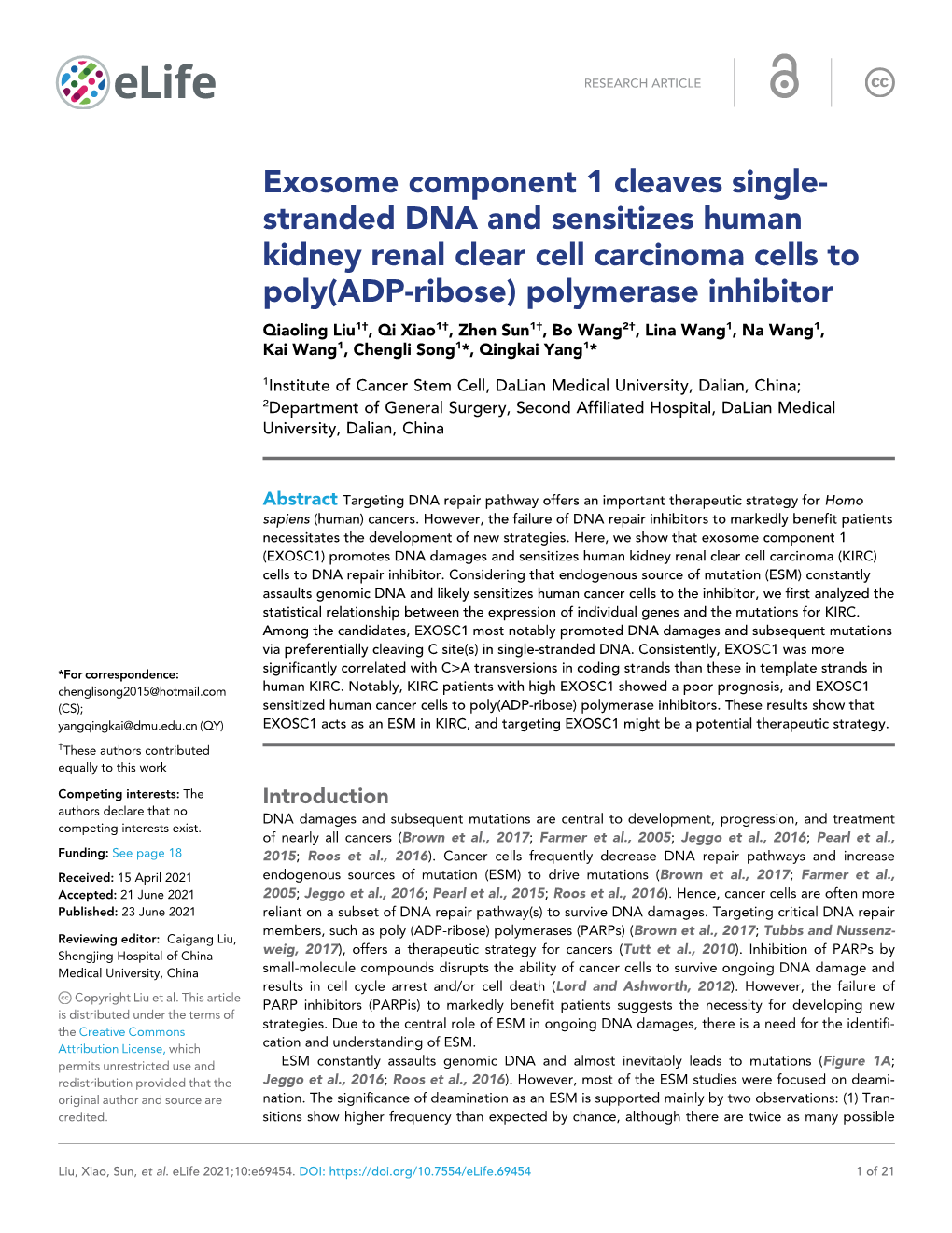 Stranded DNA and Sensitizes Human Kidney Renal Clear Cell Carcinoma