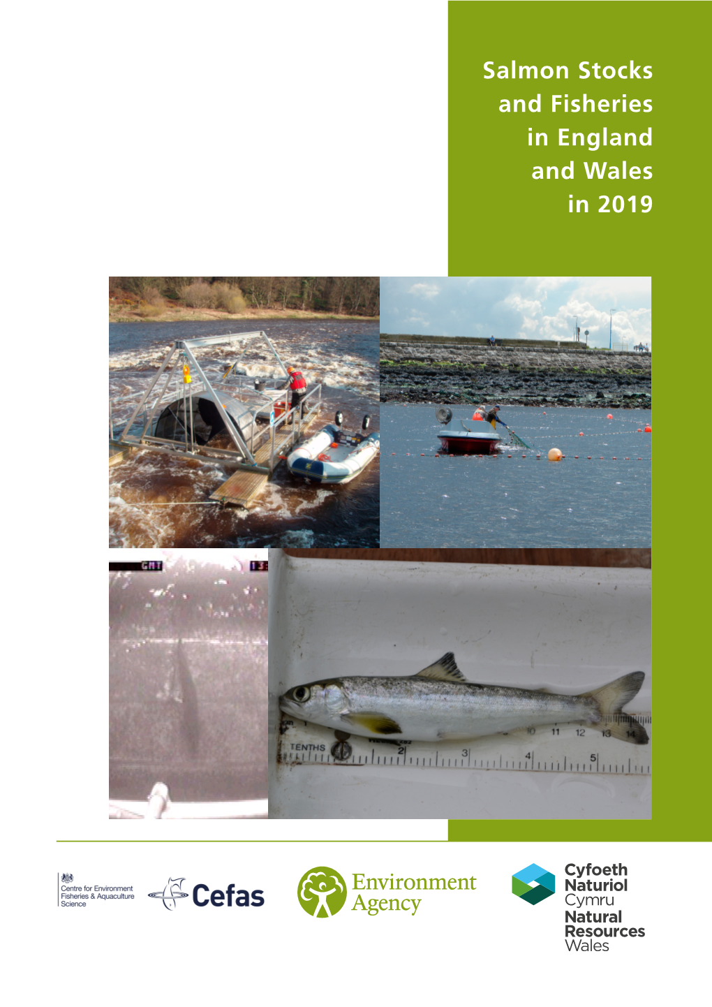Salmon Stocks and Fisheries in England and Wales 2019