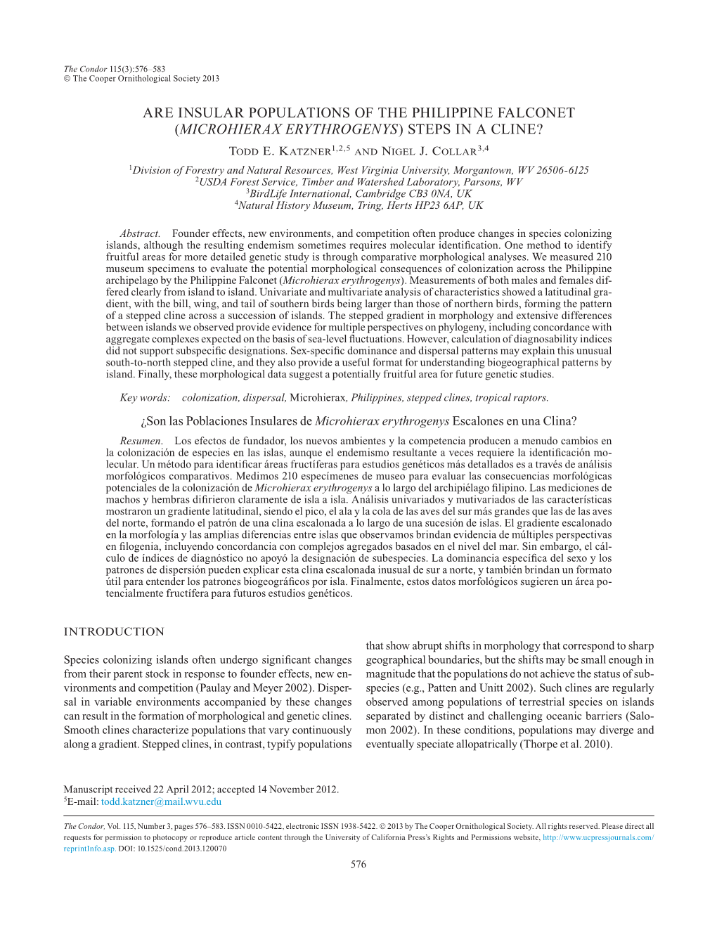 Are Insular Populations of the Philippine Falconet (Microhierax Erythrogenys) Steps in a Cline?