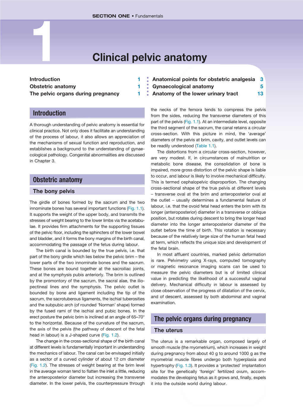 Clinical Pelvic Anatomy