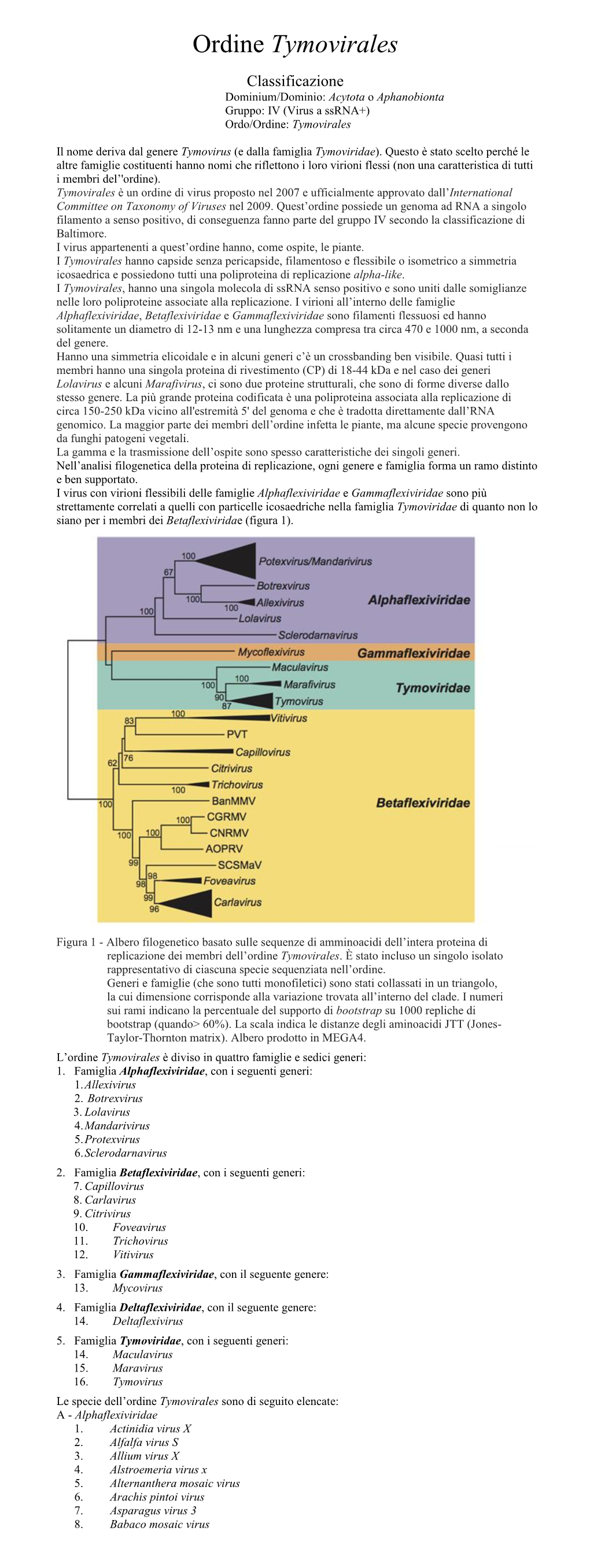 Ordine Tymovirales