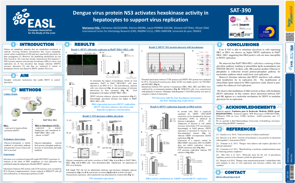 Huh7 HK4+ HK2- Cells a Protein Complementation Assay B Coimmunoprecipitation Even If NS3 Is Able to Stimulates Glycolysis in Cells Expressing Replicate