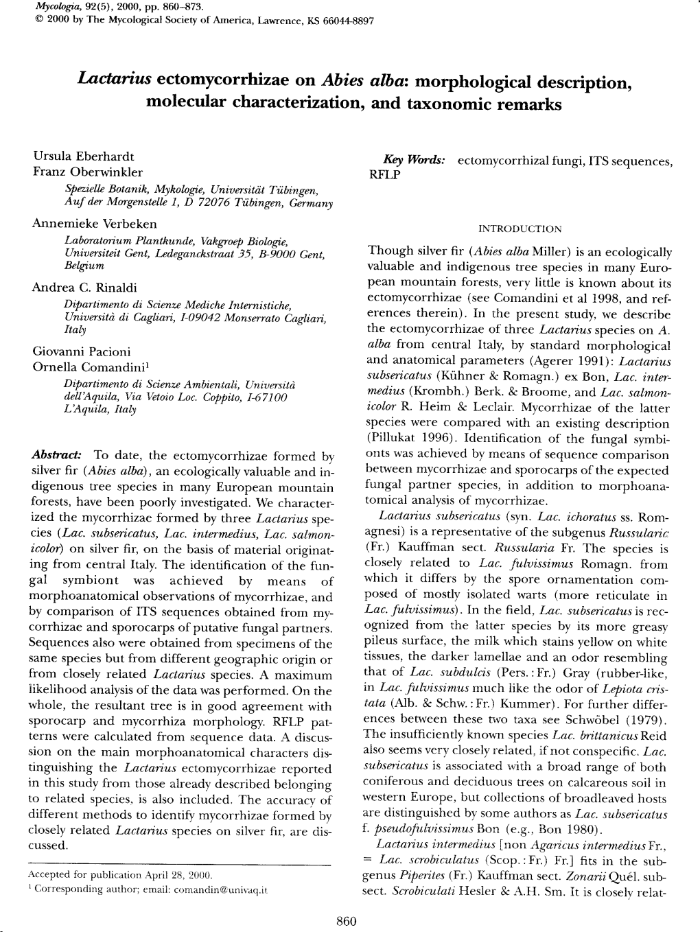 Iactarius Ectomycorrhizae on Abies Alb Az Morphological Description, Molecular Characteization, and Taxonomic Remarks