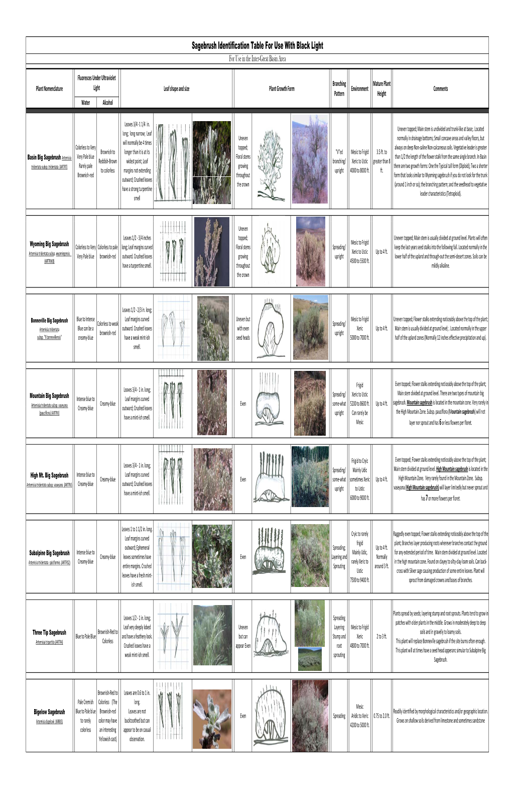 Sagebrush Identification Guide