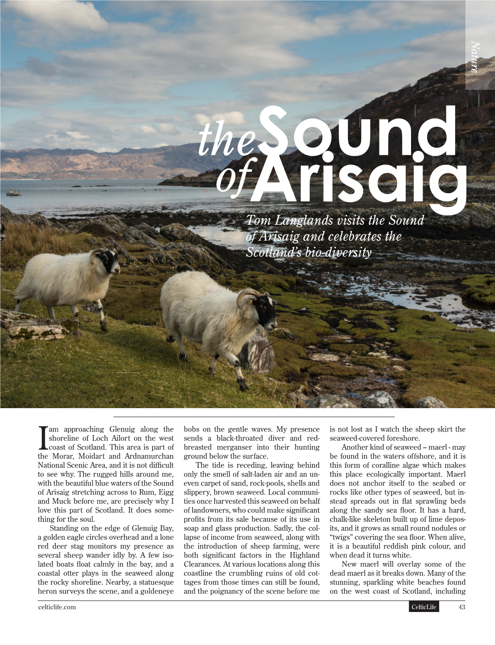 Tom Langlands Visits the Sound of Arisaig and Celebrates the Scotland’S Bio-Diversity