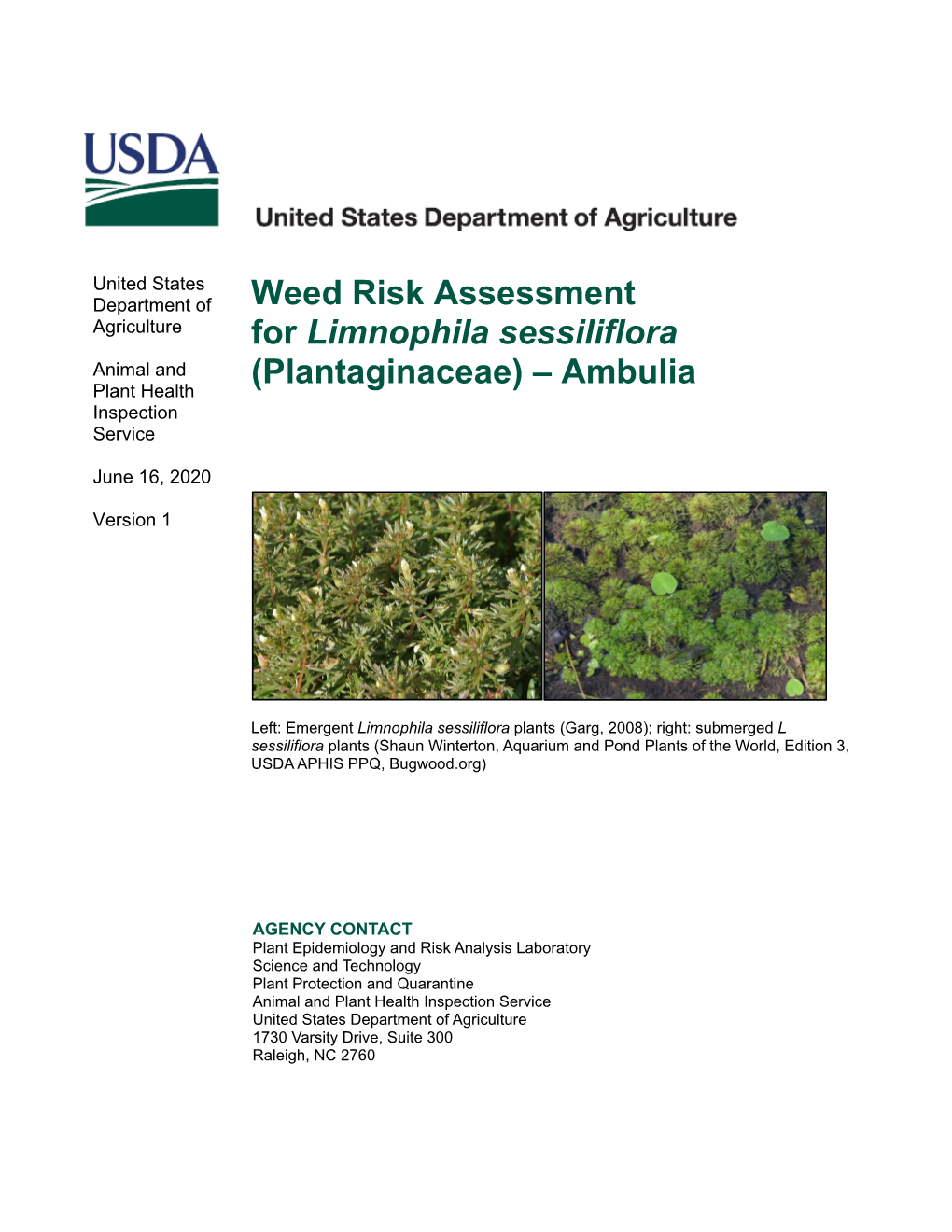 Limnophila Sessiliflora Animal and Plant Health (Plantaginaceae) – Ambulia Inspection Service