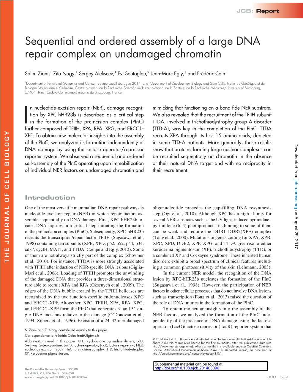 Sequential and Ordered Assembly of a Large DNA Repair Complex on Undamaged Chromatin