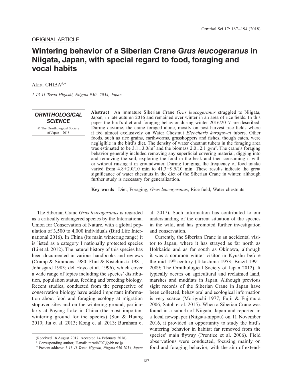 Wintering Behavior of a Siberian Crane Grus Leucogeranus in Niigata, Japan, with Special Regard to Food, Foraging and Vocal Habits