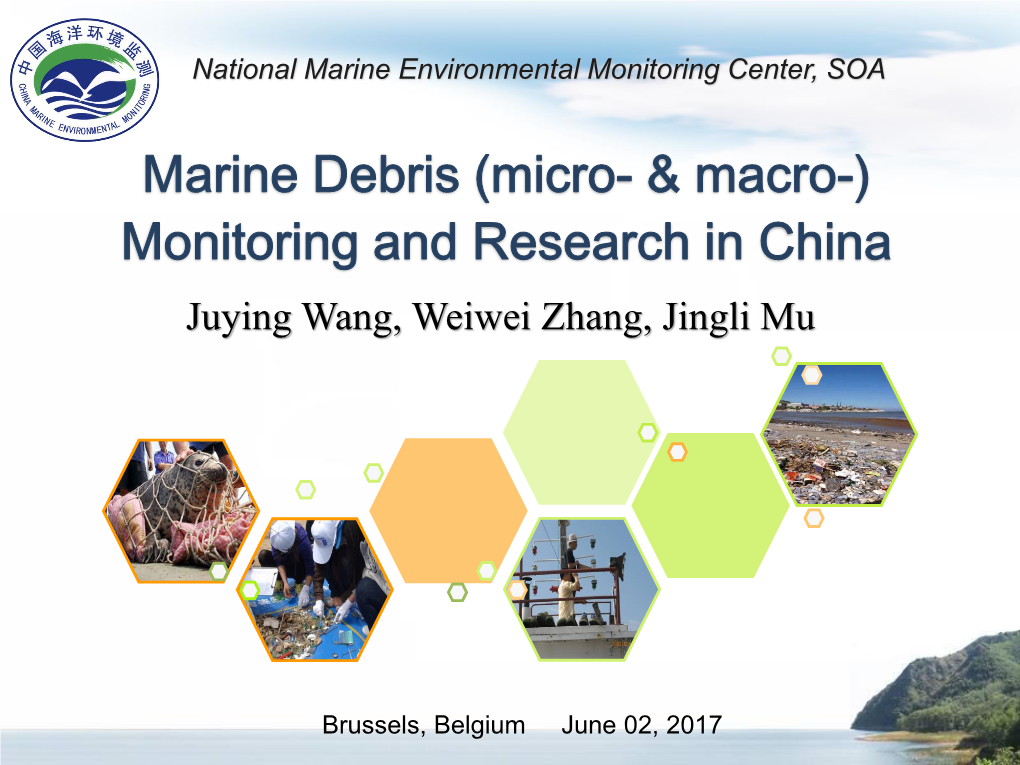 Marine Debris (Micro- & Macro-) Monitoring and Research in China