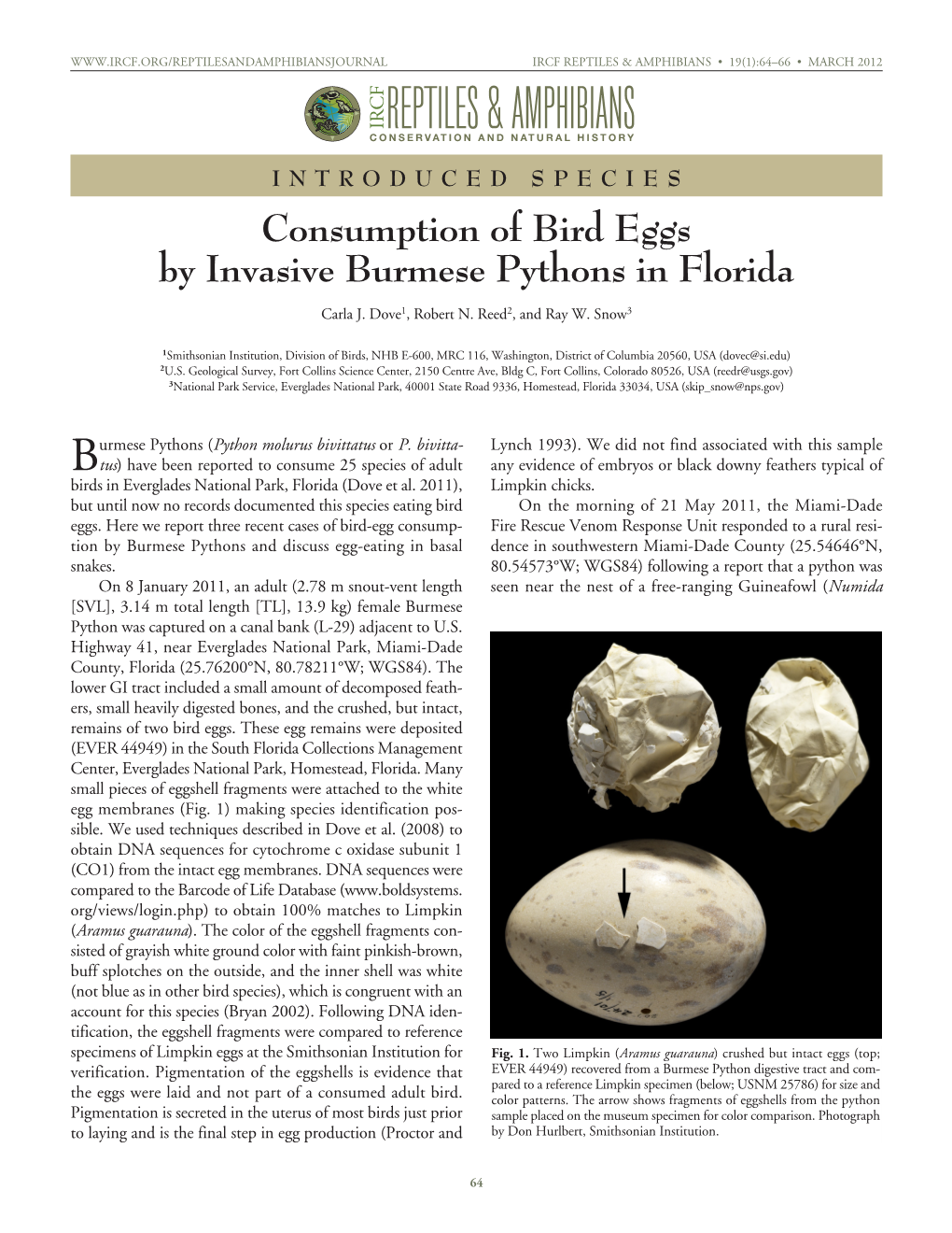 Consumption of Bird Eggs by Invasive