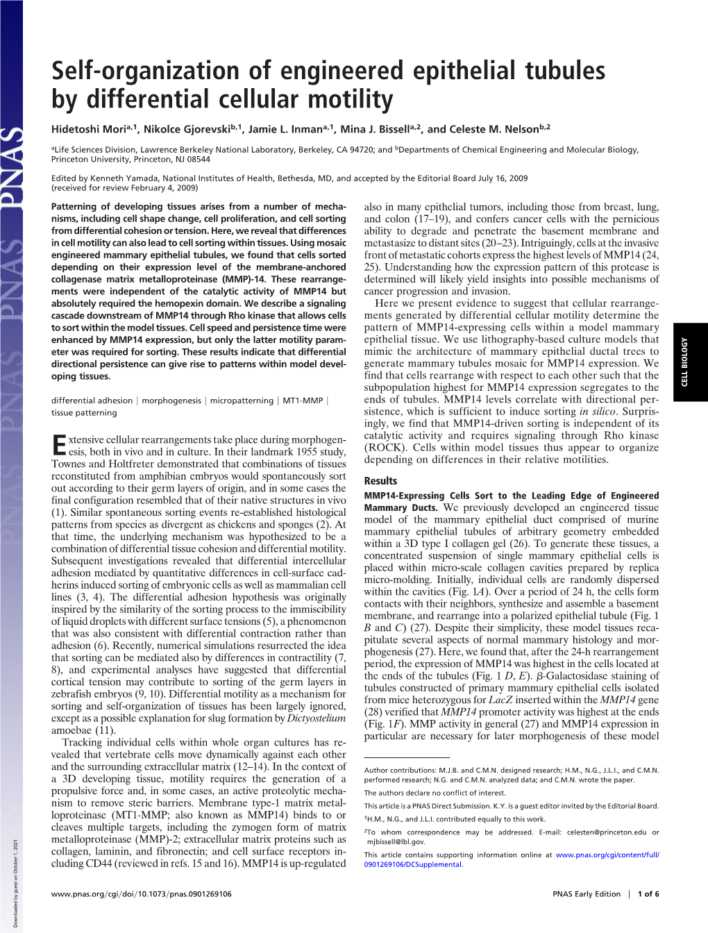 Self-Organization of Engineered Epithelial Tubules by Differential Cellular Motility