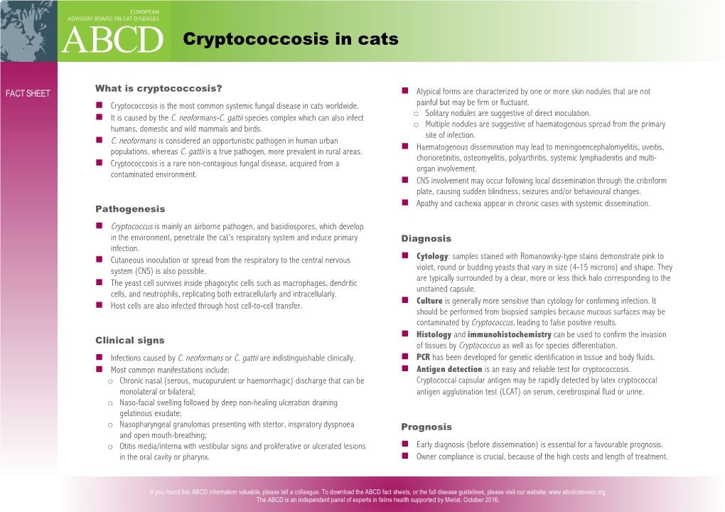 Cryptococcosis in Cats
