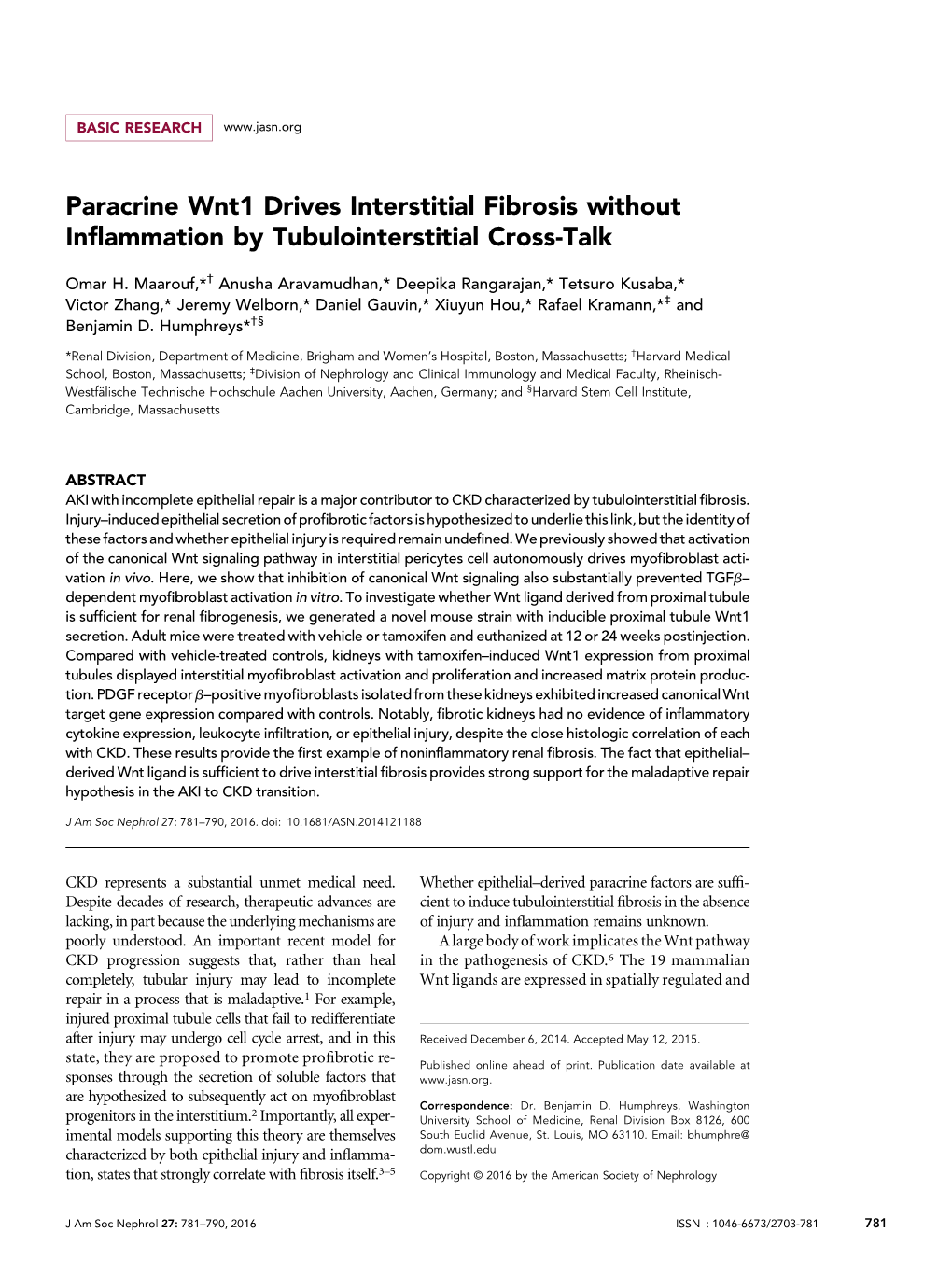 Paracrine Wnt1 Drives Interstitial Fibrosis Without Inflammation by Tubulointerstitial Cross-Talk