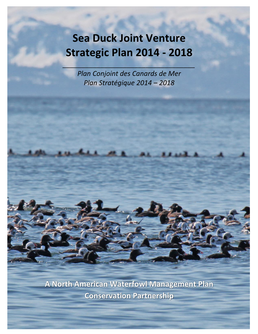 Sea Duck Joint Venture Strategic Plan 2014-2018