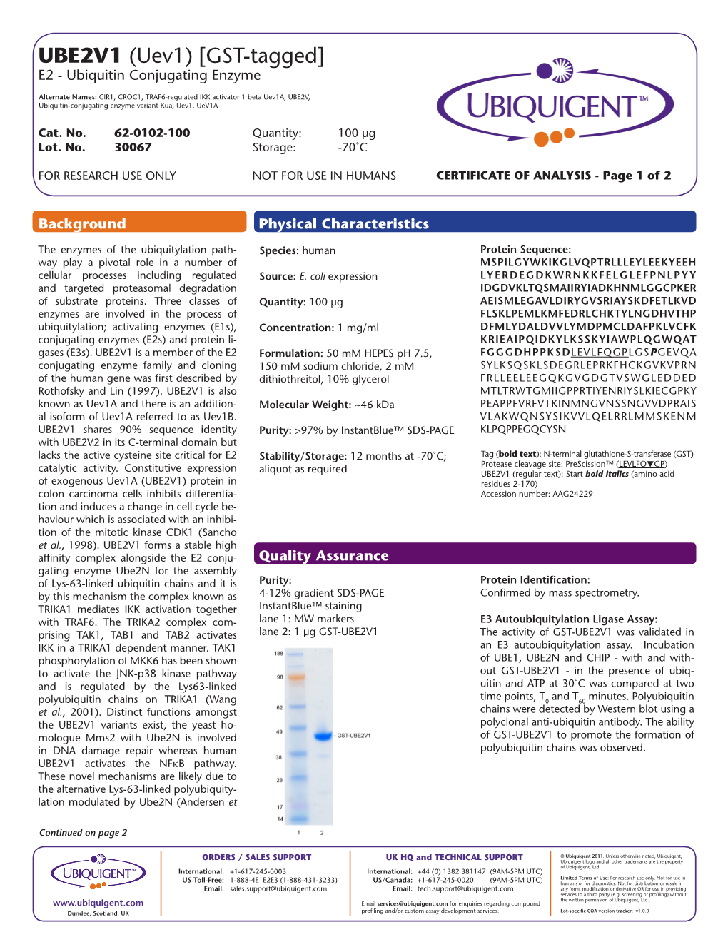 UBE2V1 (Uev1) [GST-Tagged] E2 - Ubiquitin Conjugating Enzyme