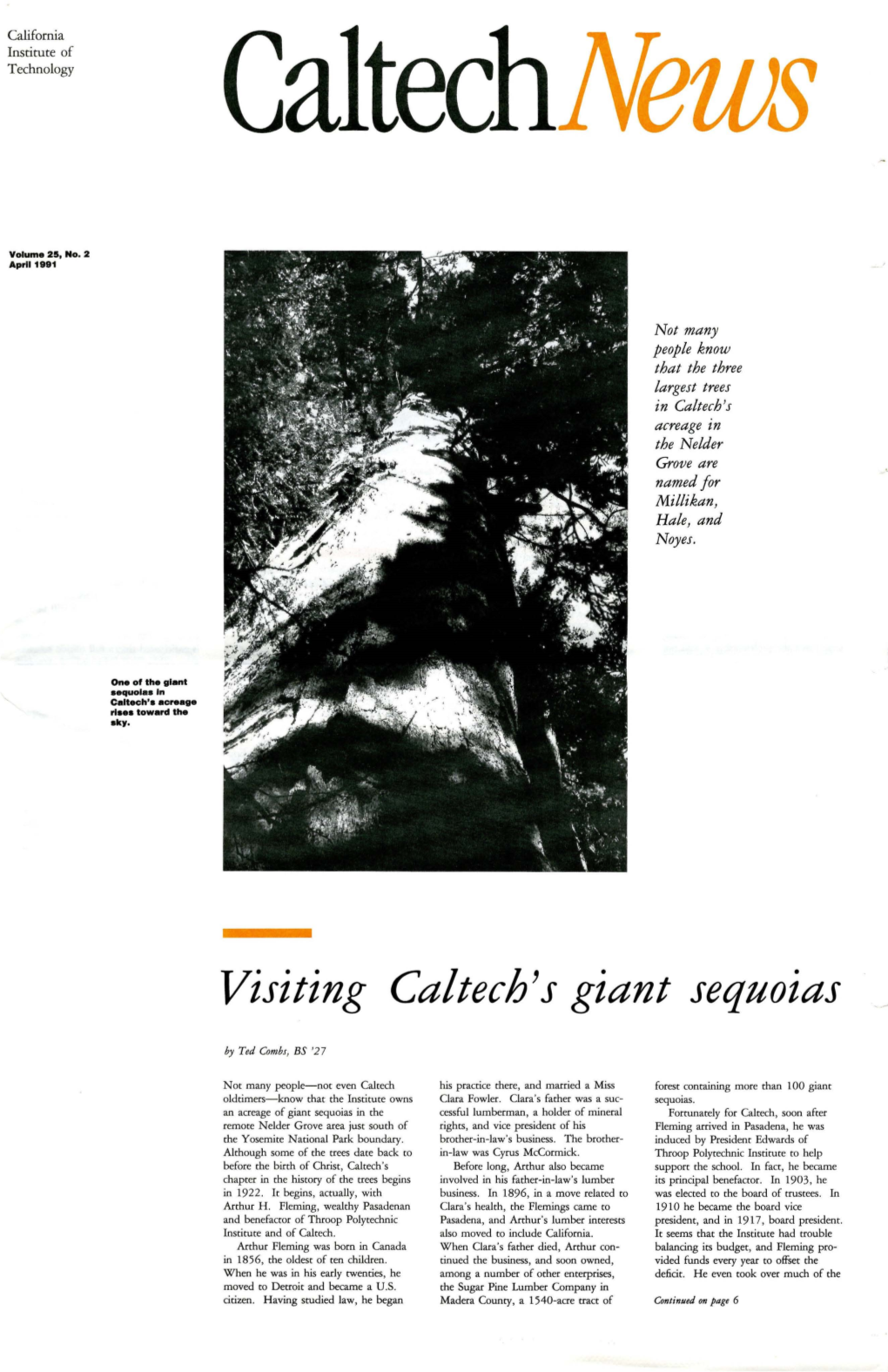 Visiting Caltech's Giant Sequoias