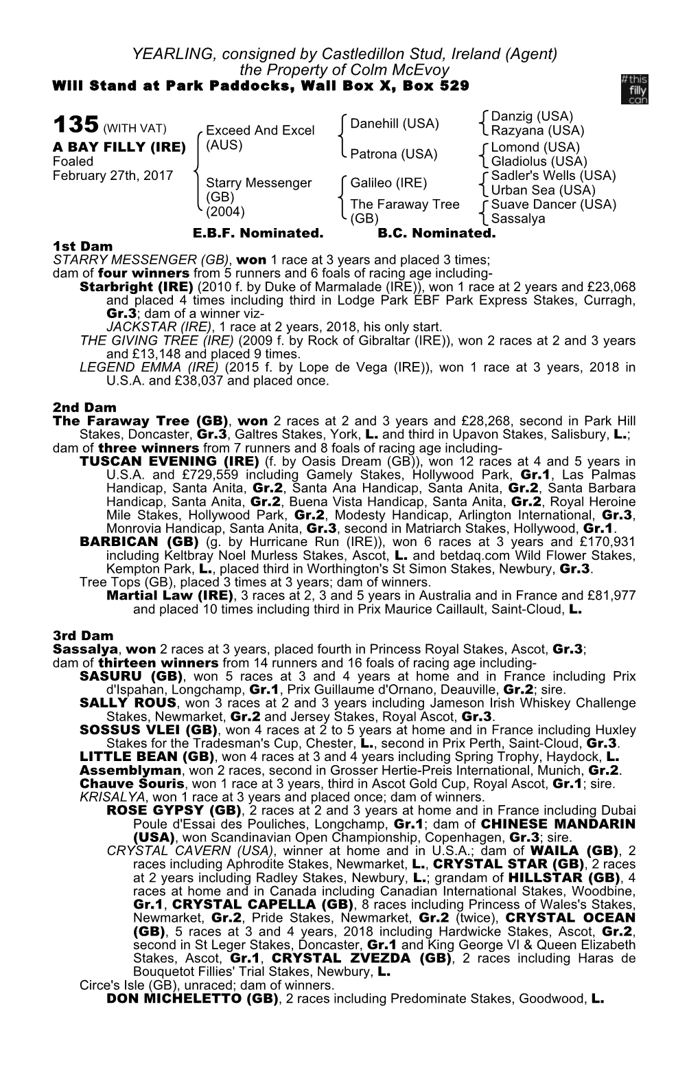 YEARLING, Consigned by Castledillon Stud, Ireland (Agent) the Property of Colm Mcevoy Will Stand at Park Paddocks, Wall Box X, Box 529