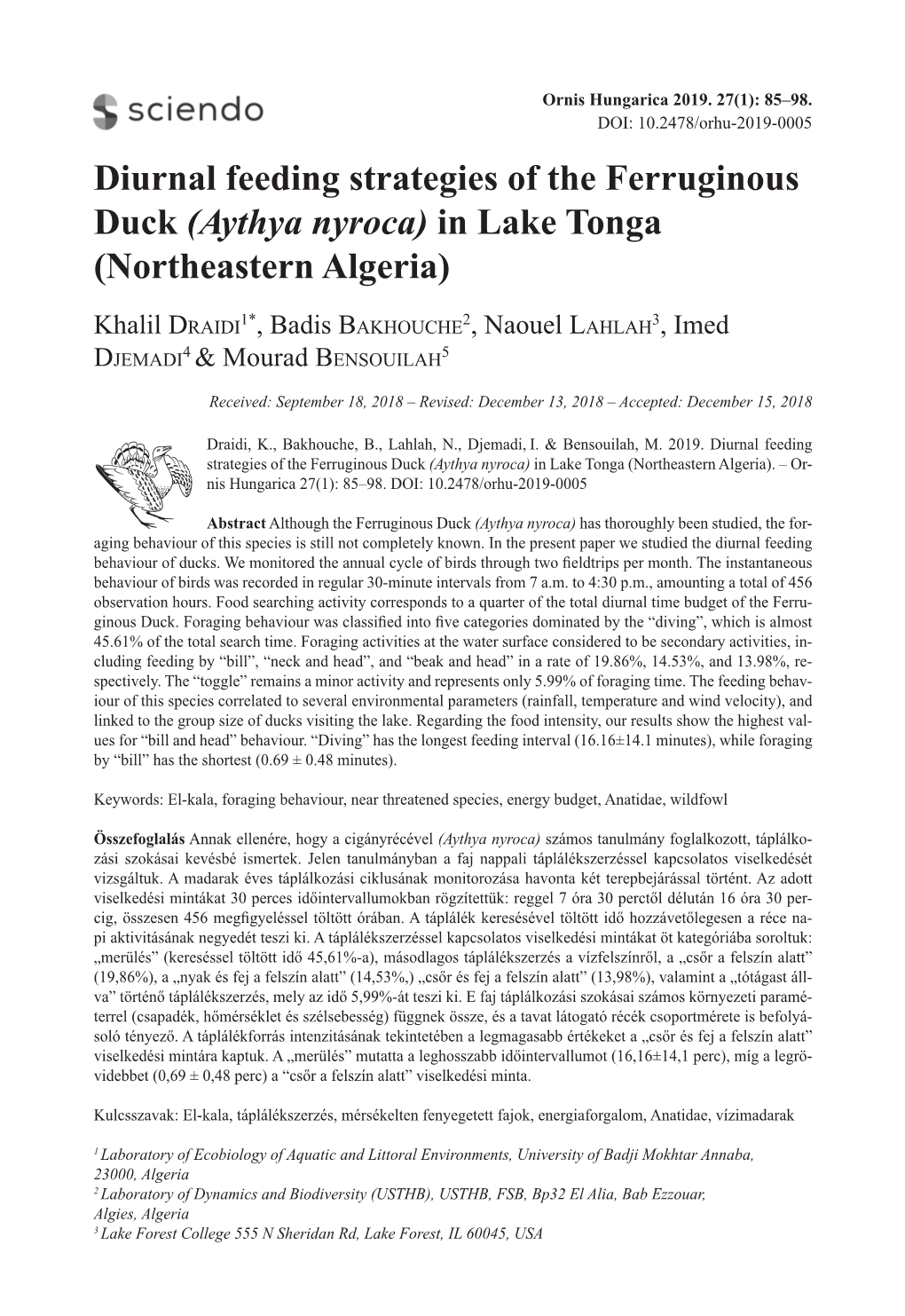 Diurnal Feeding Strategies of the Ferruginous Duck (Aythya Nyroca) in Lake Tonga (Northeastern Algeria)