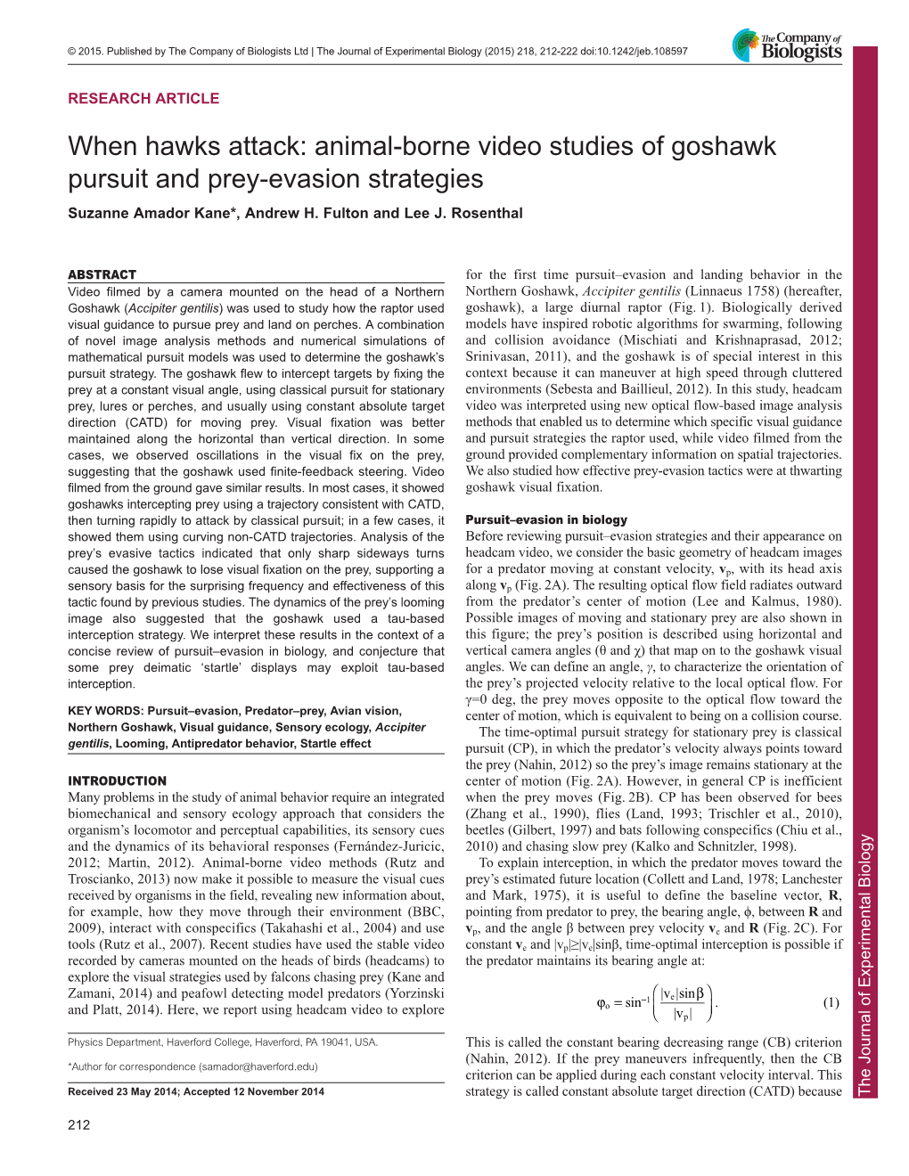 When Hawks Attack: Animal-Borne Video Studies of Goshawk Pursuit