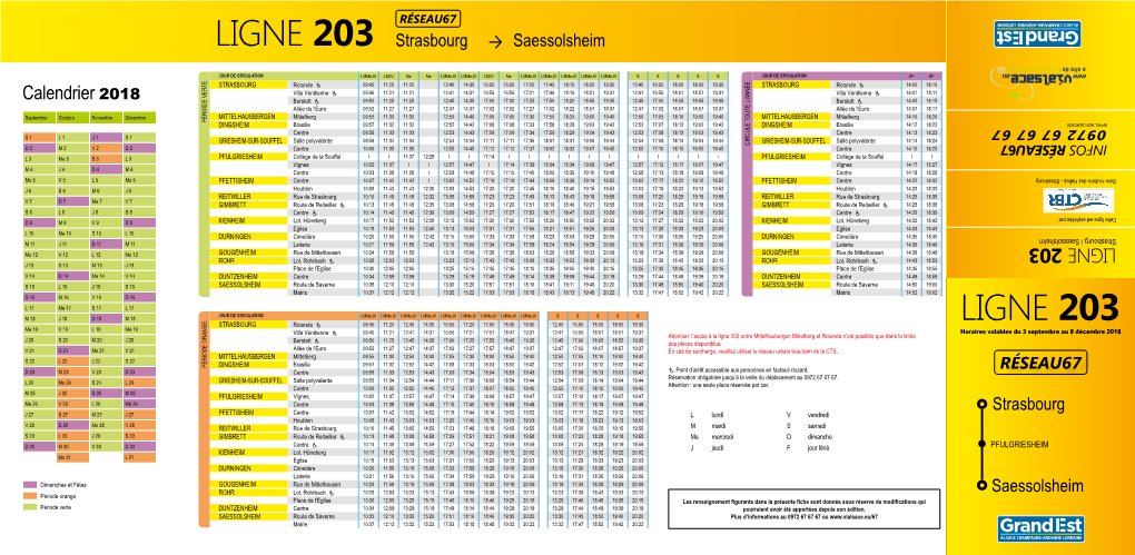 LIGNE 203 Strasbourg Saessolsheim