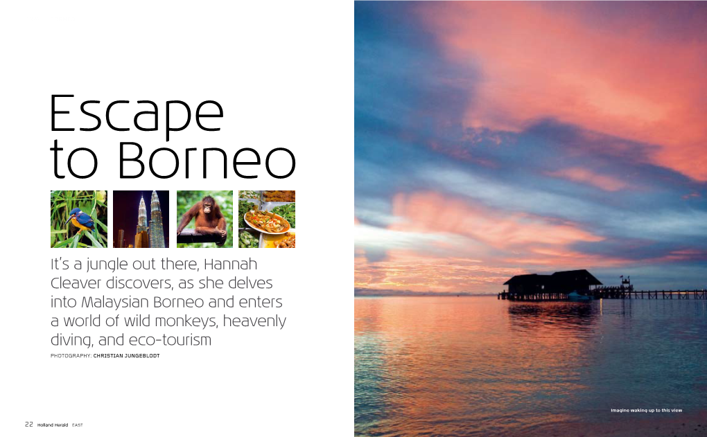 Escape to Borneo by Hannah Cleaver