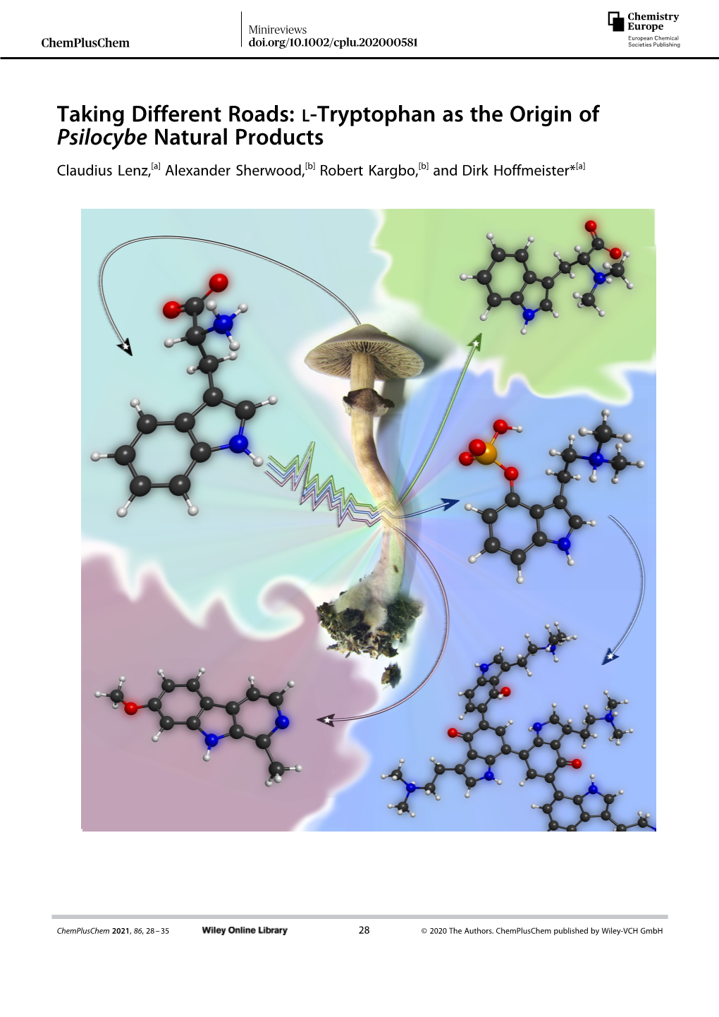 L‐Tryptophan As the Origin of Psilocybe Natural Products