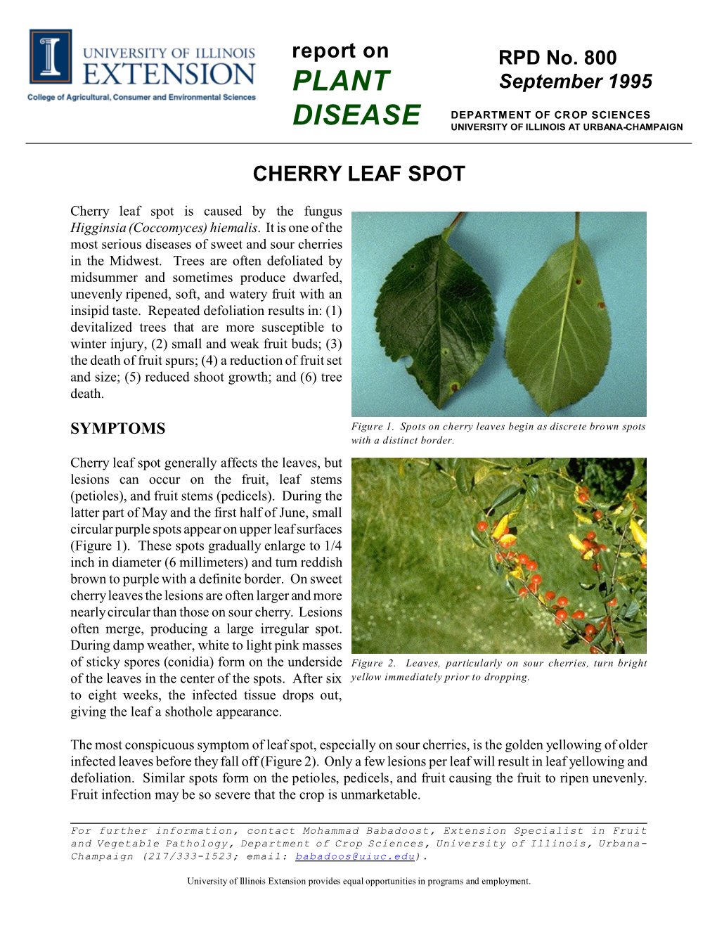 Cherry Leaf Spot, RPD No