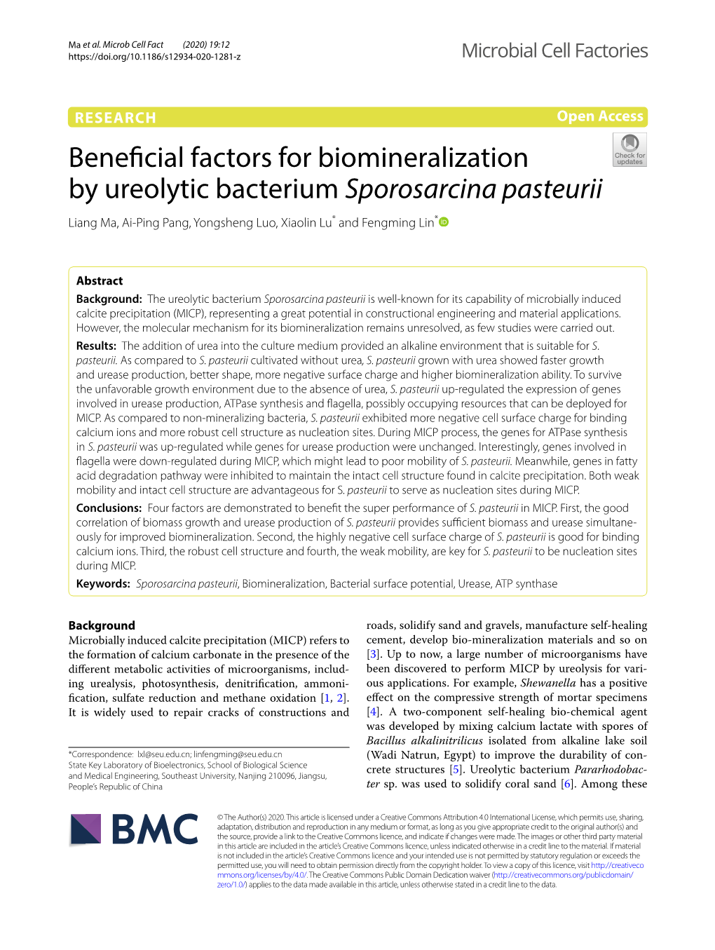 Beneficial Factors for Biomineralization by Ureolytic Bacterium Sporosarcina Pasteurii