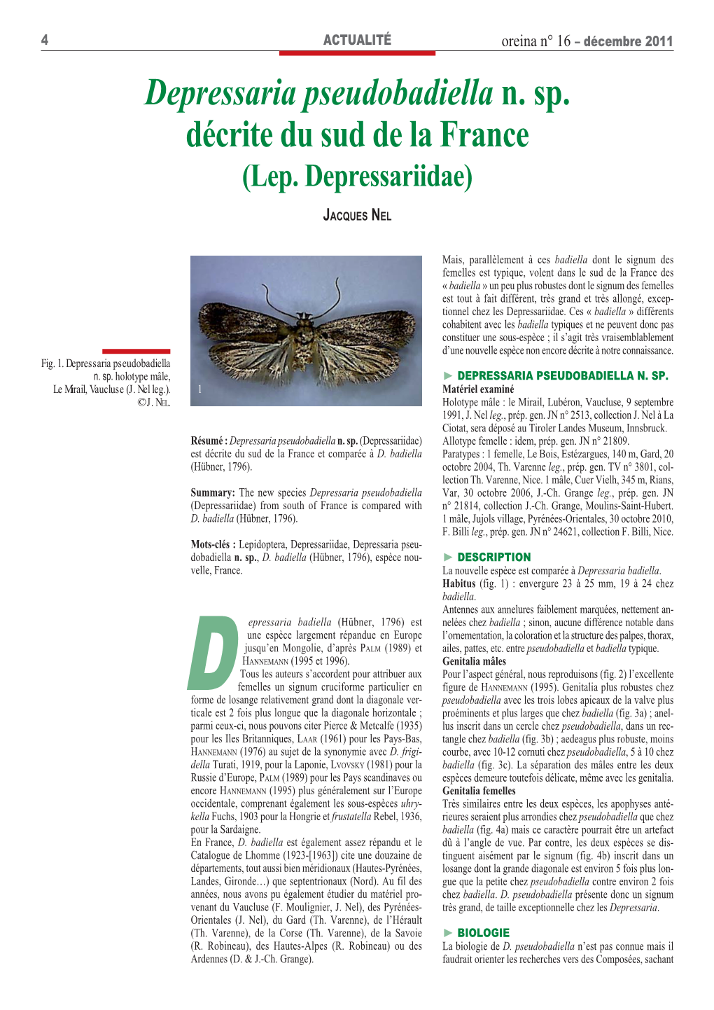 Depressaria Pseudobadiella N. Sp. Décrite Du Sud De La France (Lep
