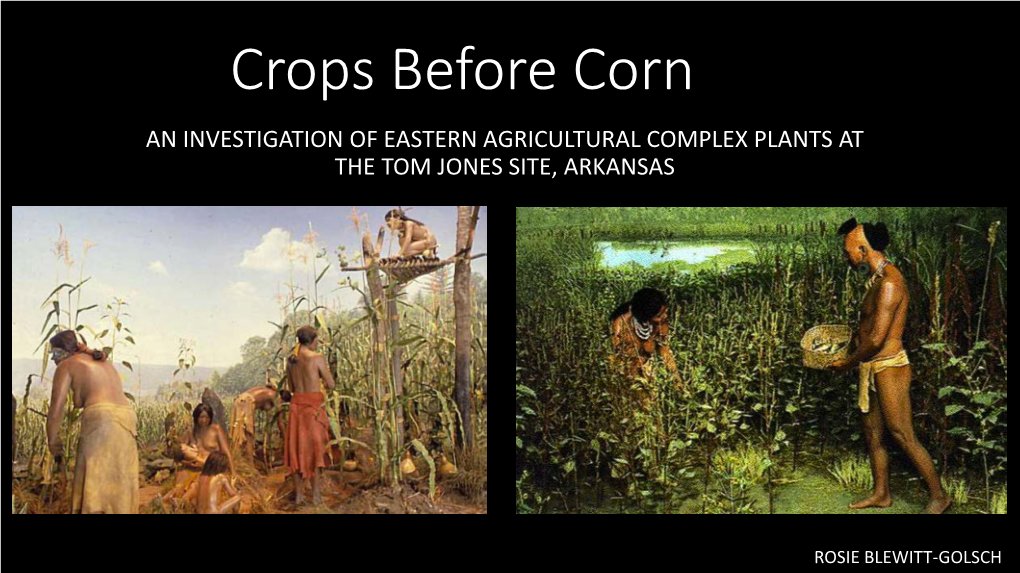 Crops Before Corn an INVESTIGATION of EASTERN AGRICULTURAL COMPLEX PLANTS at the TOM JONES SITE, ARKANSAS