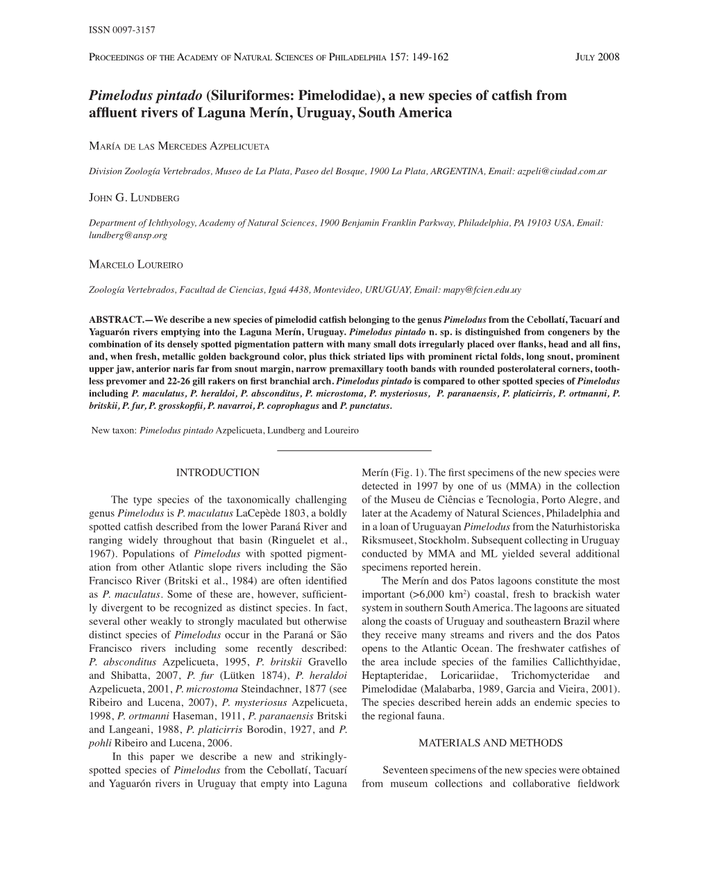 Siluriformes: Pimelodidae), a New Species of Catﬁsh from Afﬂuent Rivers of Laguna Merín, Uruguay, South America