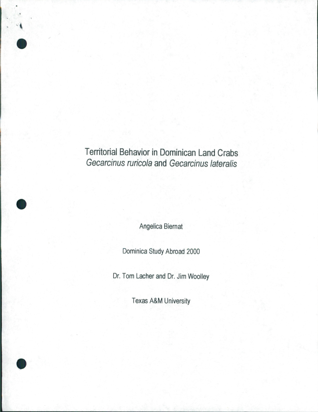 Territorial Behavior in Dominican Land Crabs Gecarcinus Ruricola and Gecarcinus Lateralis • Angelica Biernat