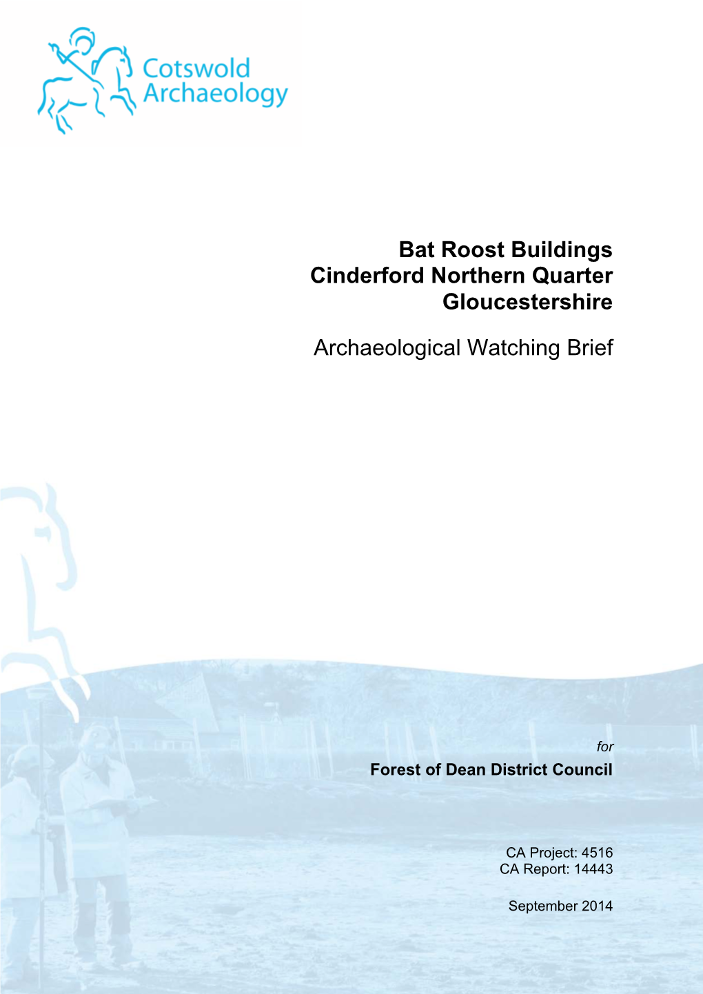 Bat Roost Buildings Cinderford Northern Quarter Gloucestershire Archaeological Watching Brief