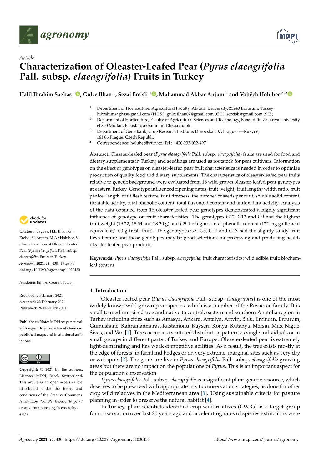 Characterization of Oleaster-Leafed Pear (Pyrus Elaeagrifolia Pall