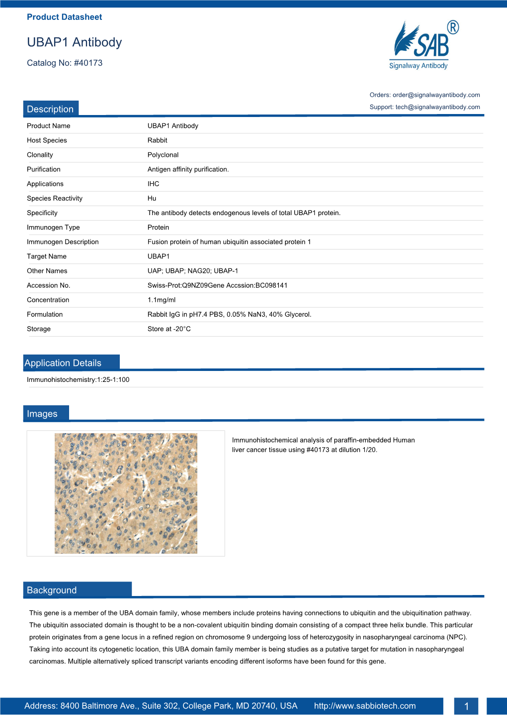 UBAP1 Antibody