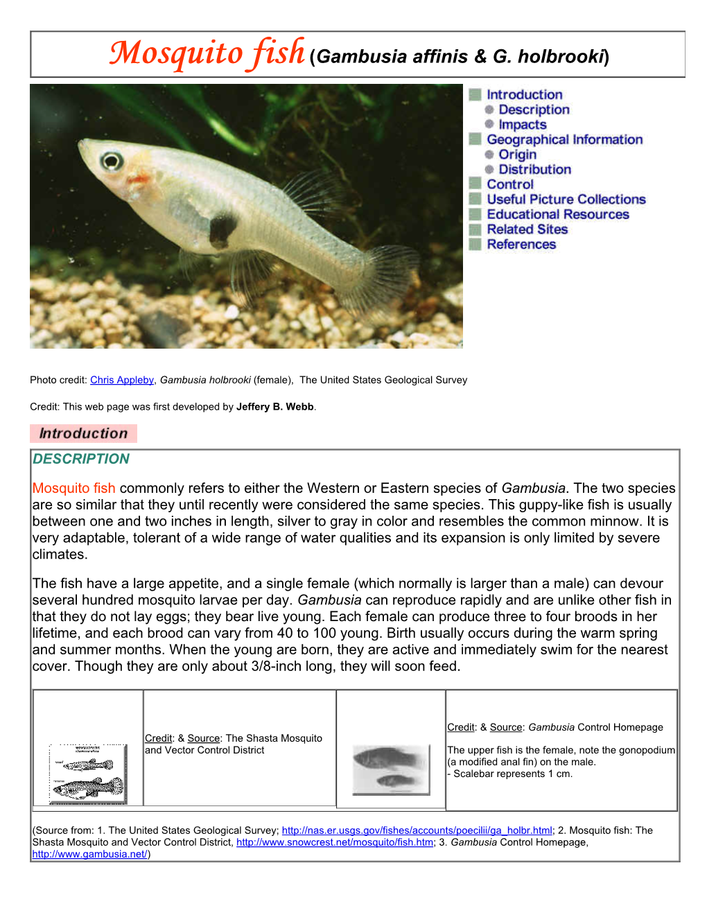 Mosquito Fish-Exotic Aquatics on the Move