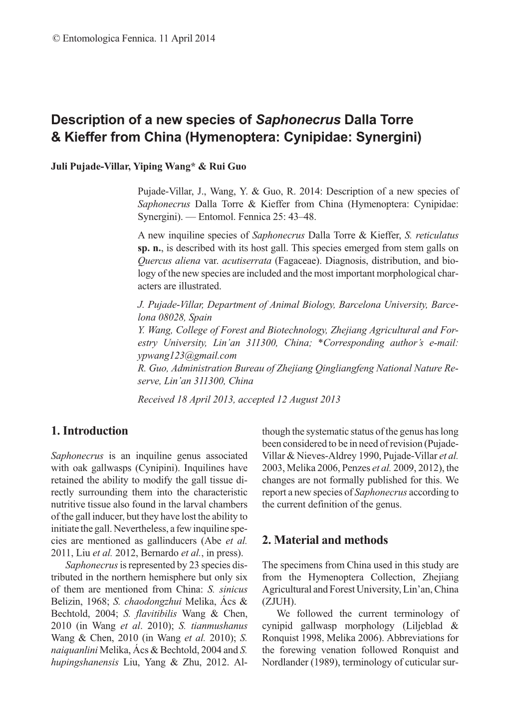 Description of a New Species of Saphonecrus Dalla Torre & Kieffer from China (Hymenoptera: Cynipidae: Synergini)