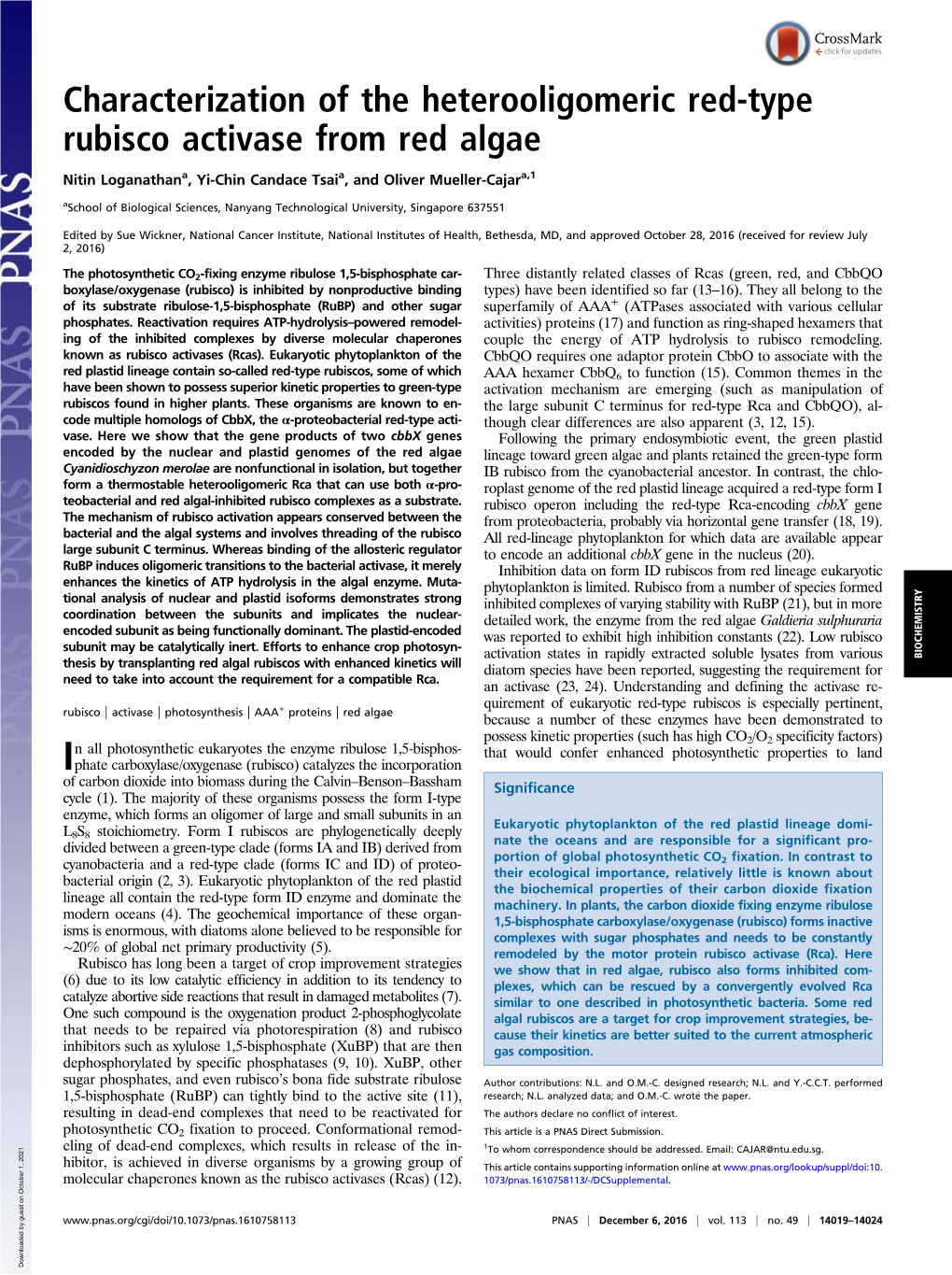 Characterization of the Heterooligomeric Red-Type Rubisco Activase from Red Algae