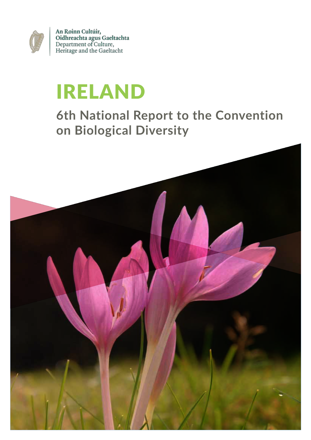 Ireland's 6Th National Report to The