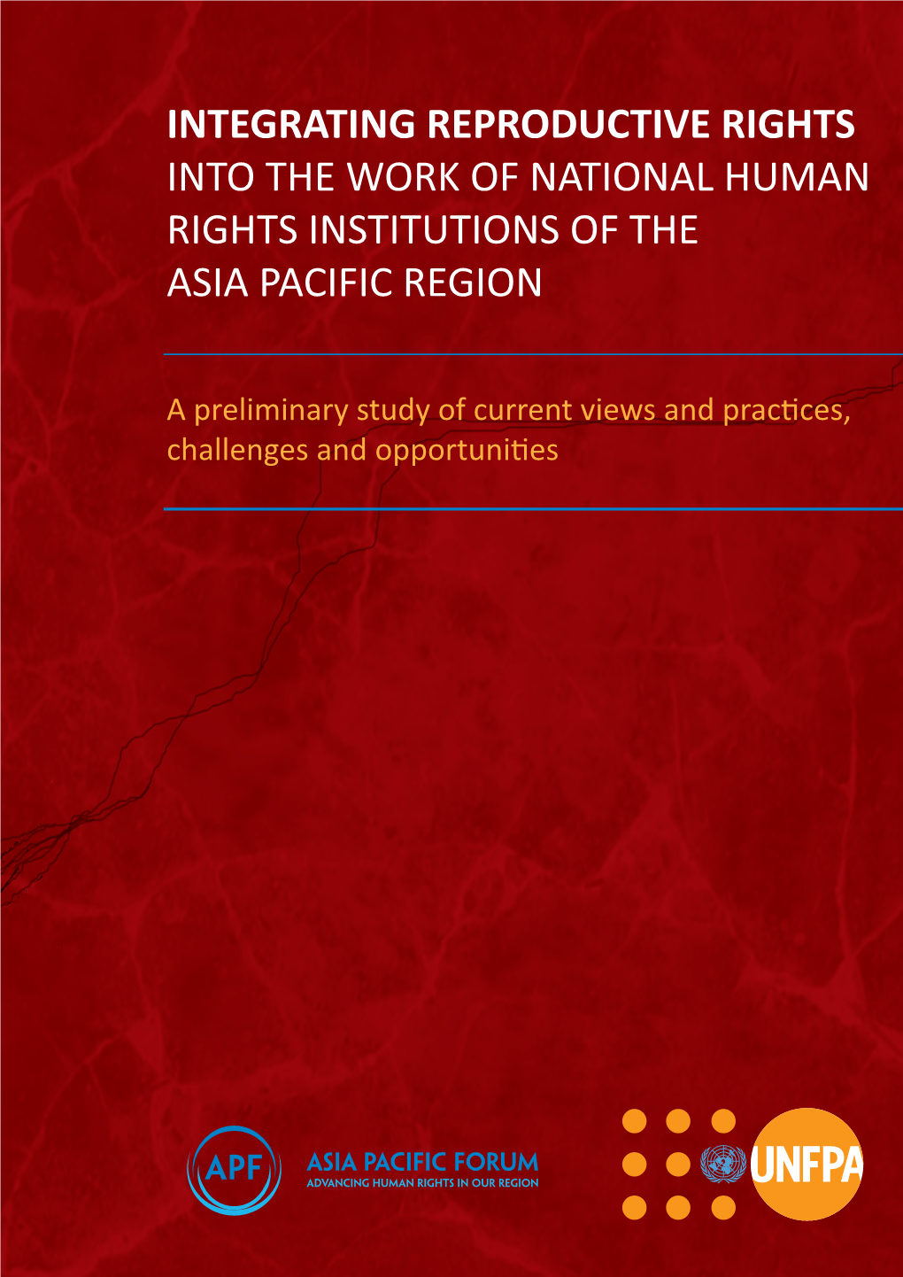 Integrating Reproductive Rights.Pdf