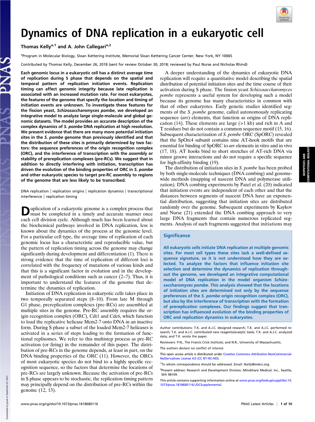 Dynamics of DNA Replication in a Eukaryotic Cell