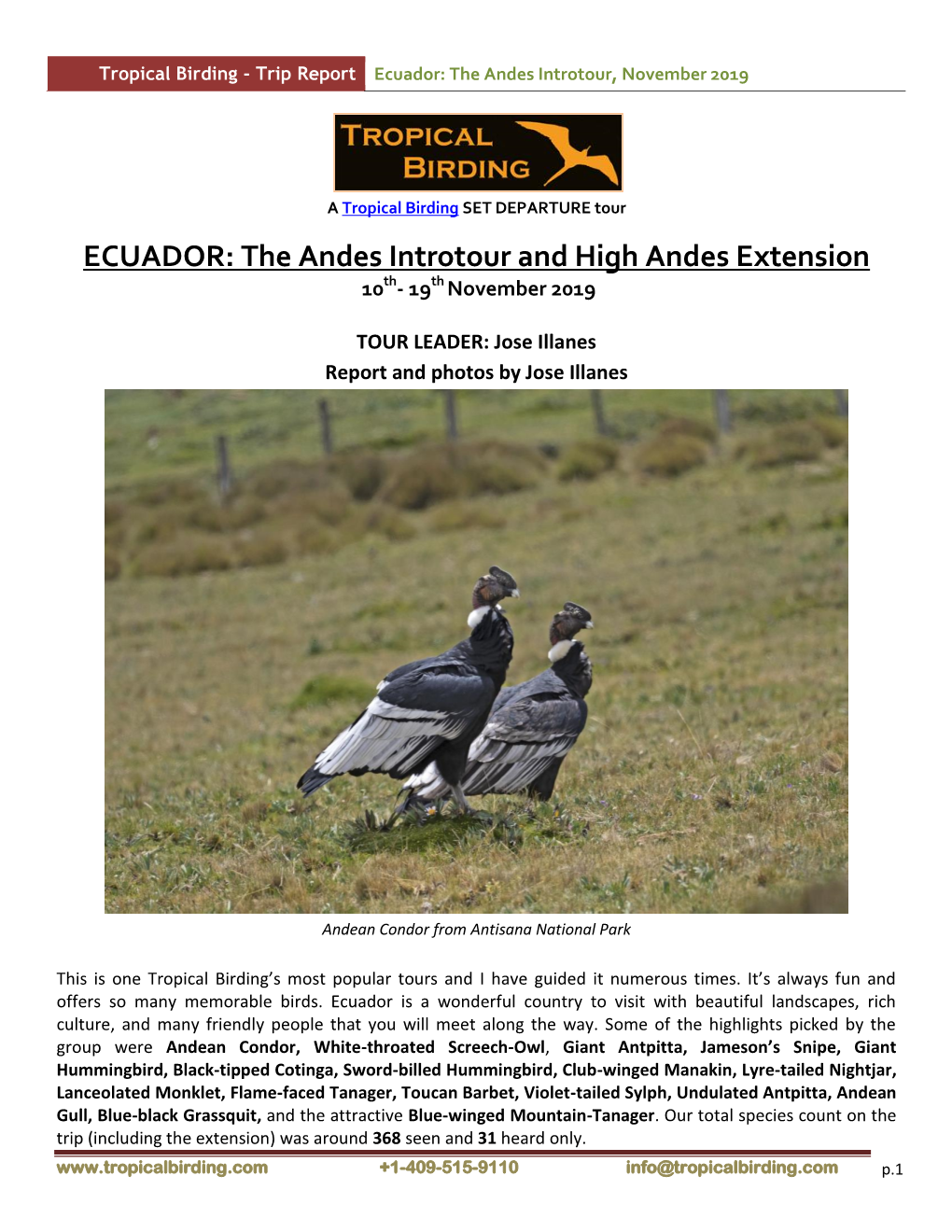 ECUADOR: the Andes Introtour and High Andes Extension 10Th- 19Th November 2019
