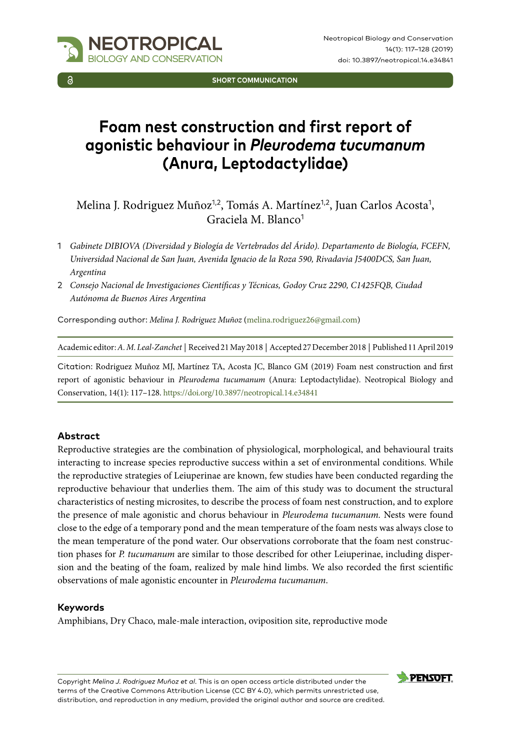 ﻿Foam Nest Construction and First Report of Agonistic Behaviour In